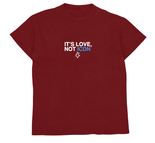 IT'S LOVE, NOT ICDN TEE